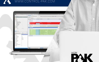 WorkPAK | Helping Users Successfully Plan and Manage Their Projects and Turnarounds